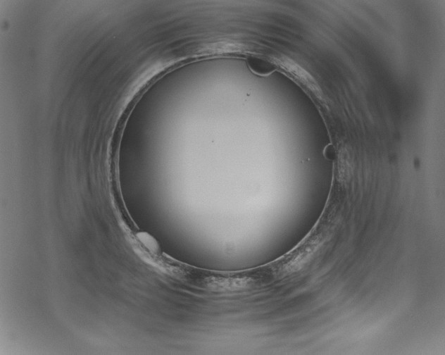 X0000069391039200605121206