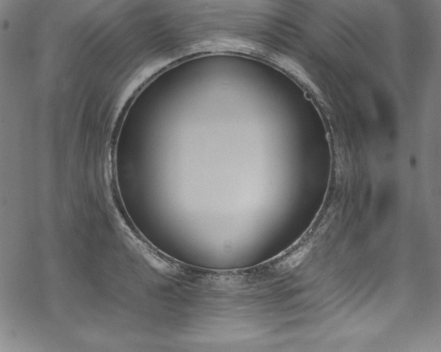 X0000069391040200605121206