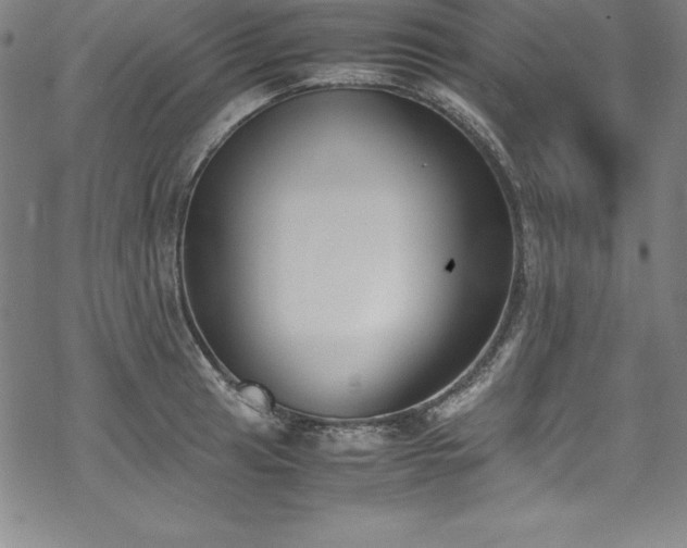 X0000069391041200605121206