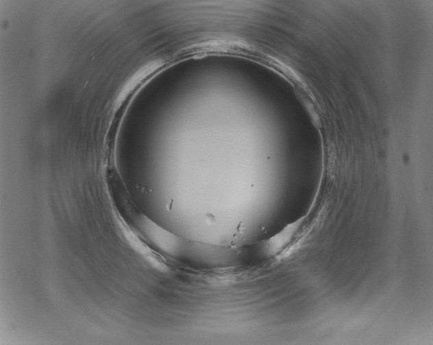 X0000069391042200605121206