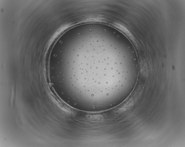 X0000069391043200605121206