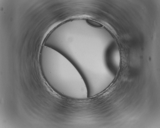 X0000069391044200605121206