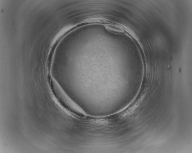 X0000069391045200605121206