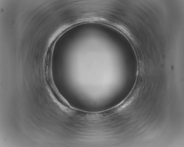 X0000069391046200605121206