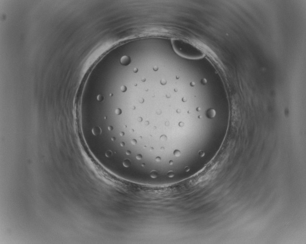 X0000069391047200605121206