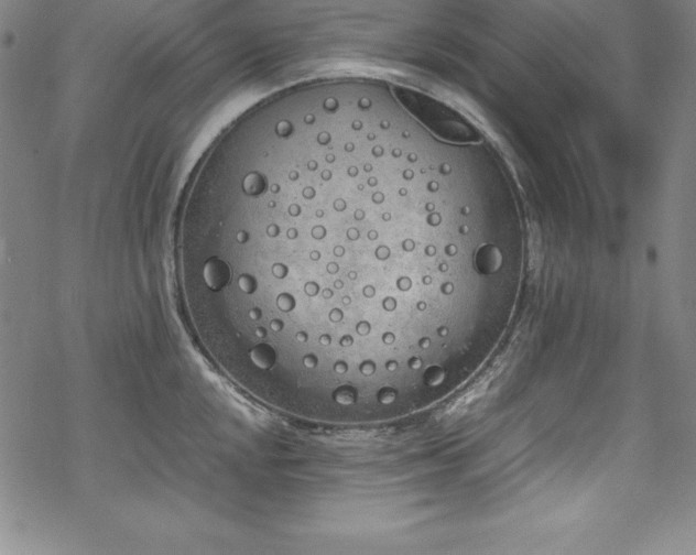 X0000069391048200605121206