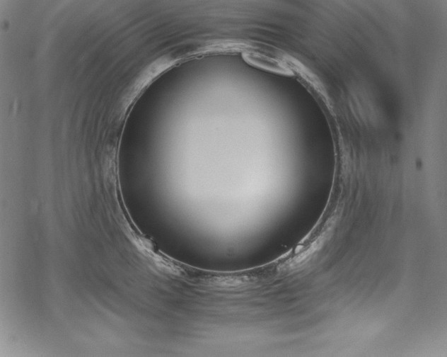 X0000069391049200605121206