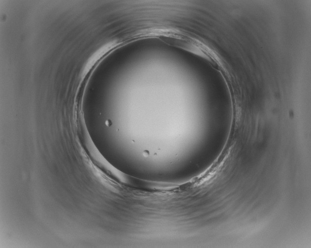 X0000069391050200605121206