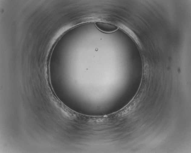 X0000069391051200605121206