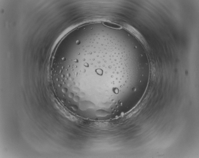 X0000069391052200605121206