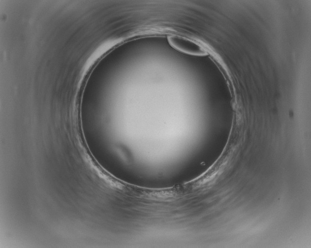 X0000069391053200605121206