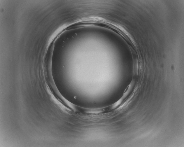 X0000069391054200605121206