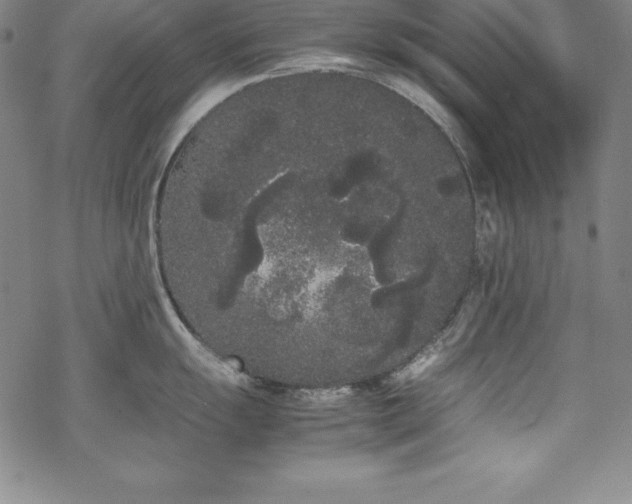 X0000069391055200605121206