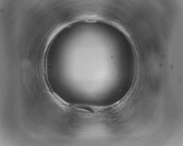 X0000069391056200605121206