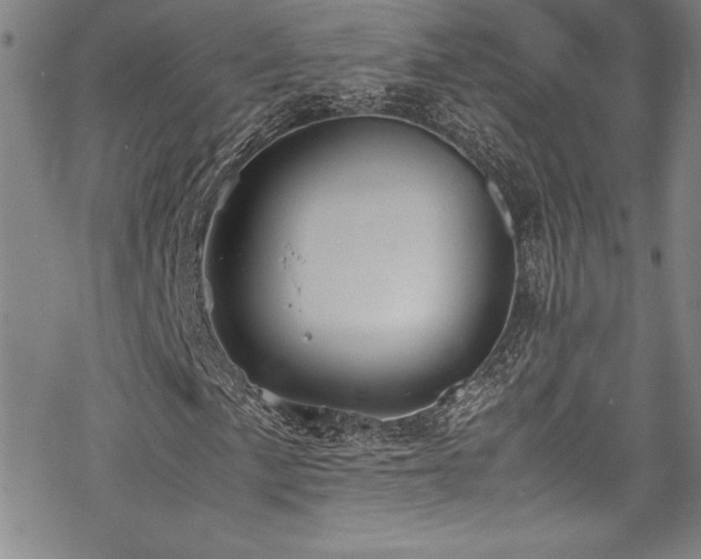 X0000069391057200605121205