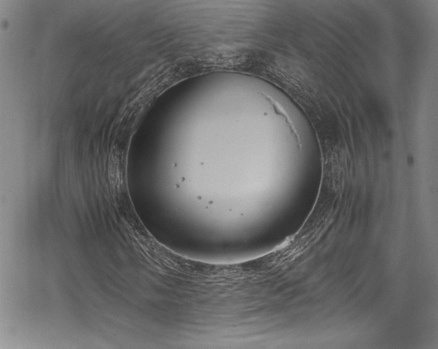 X0000069391058200605121205