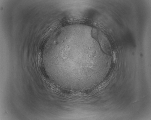 X0000069391059200605121205