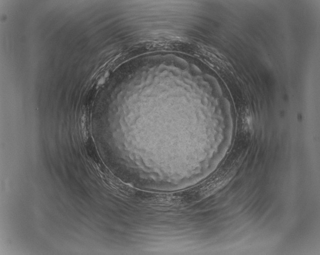 X0000069391060200605121205