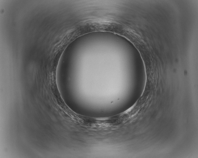 X0000069391061200605121205