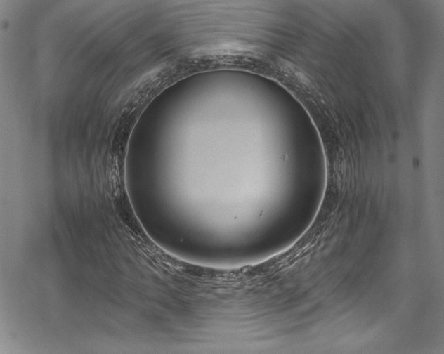 X0000069391062200605121205