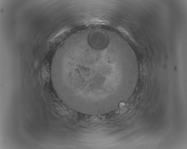 X0000069391063200605121205