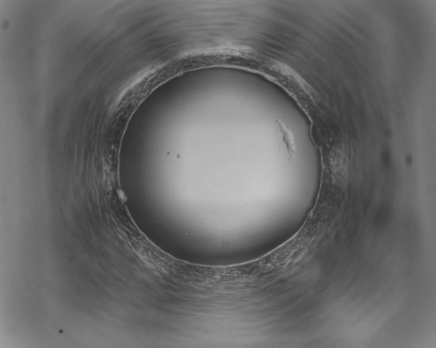 X0000069391064200605121205