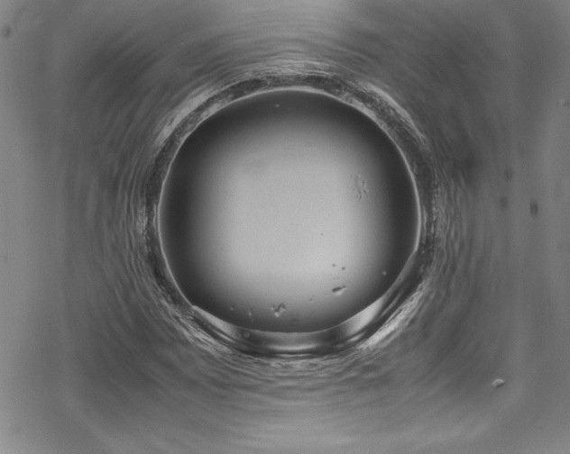 X0000069391065200605121205