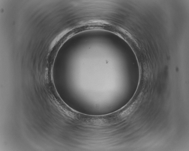 X0000069391066200605121205