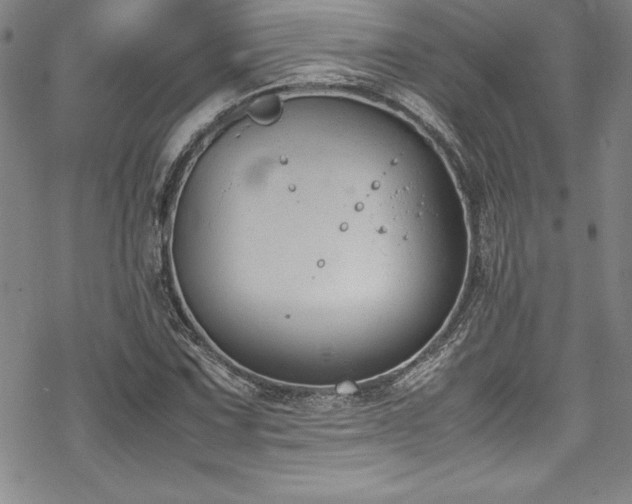 X0000069391067200605121205