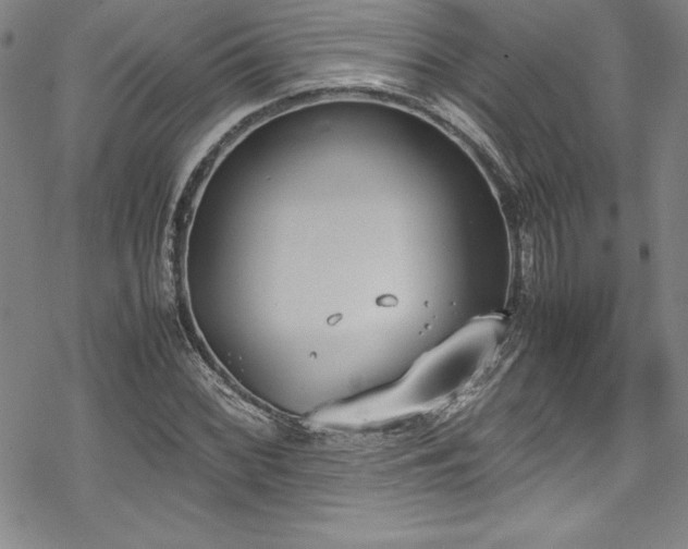 X0000069391068200605121205