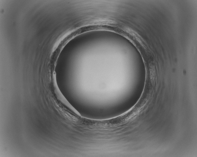 X0000069391069200605121205