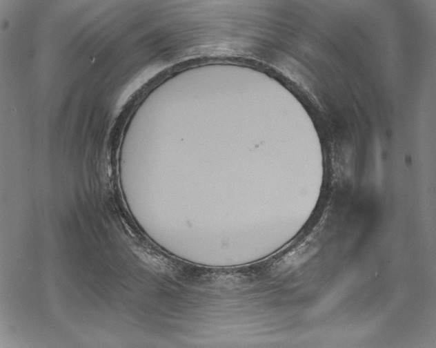 X0000069391070200605121205