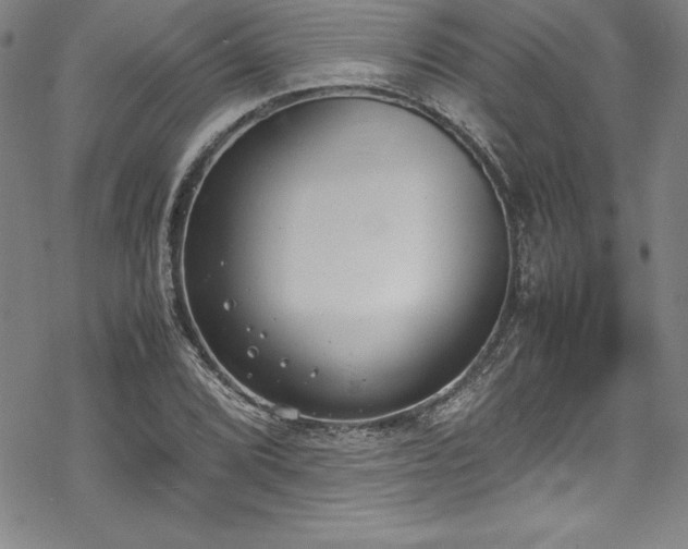 X0000069391072200605121205