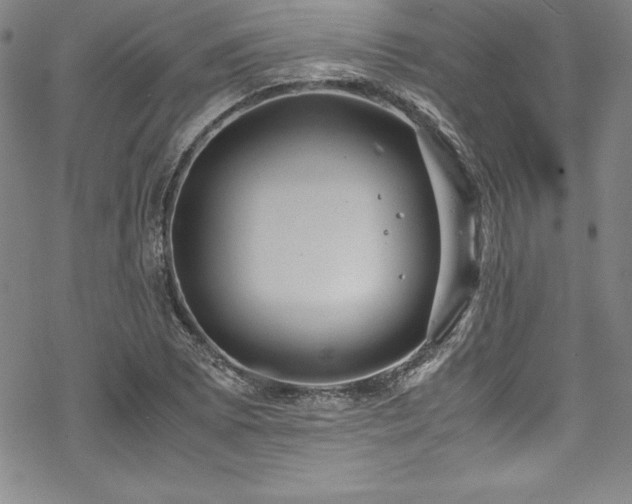 X0000069391073200605121205