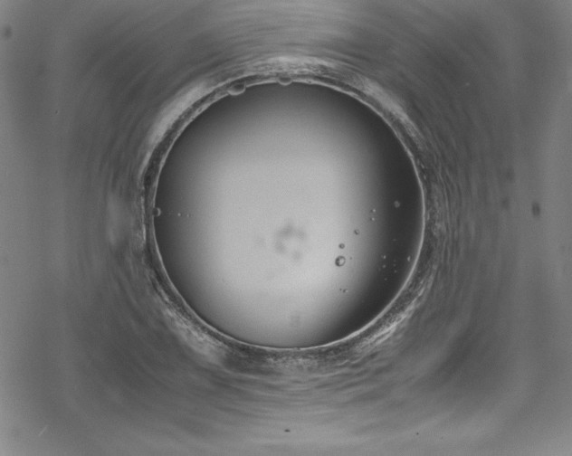 X0000069391075200605121205