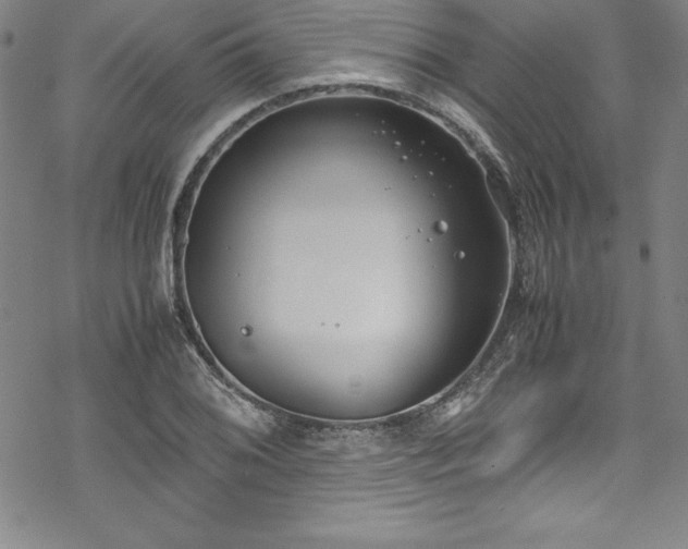 X0000069391076200605121205