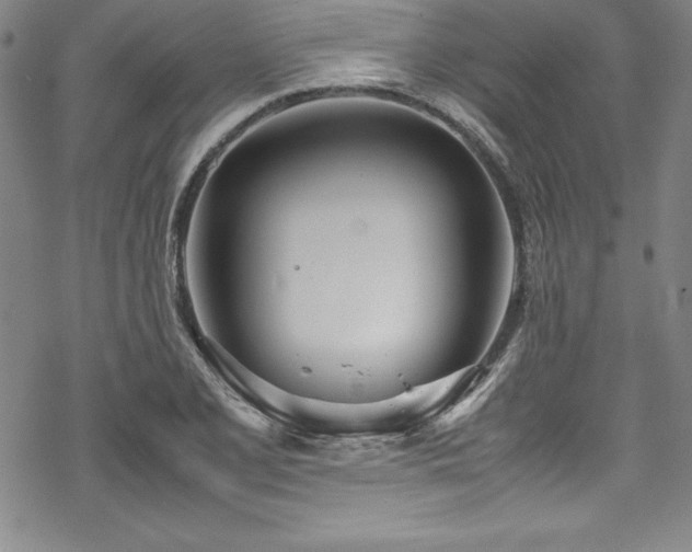 X0000069391077200605121205