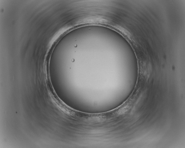 X0000069391078200605121205