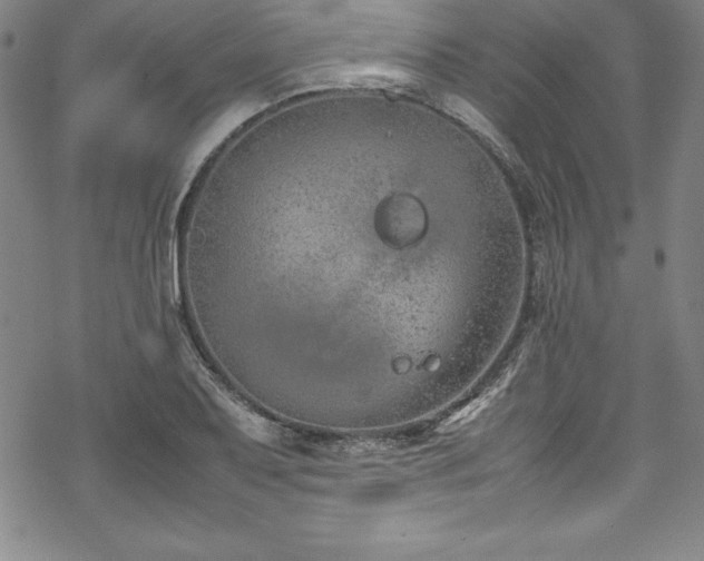 X0000069391079200605121205