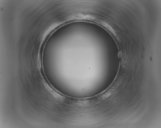 X0000069391080200605121205