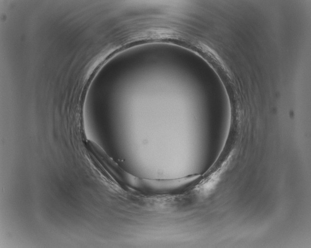 X0000069391081200605121205