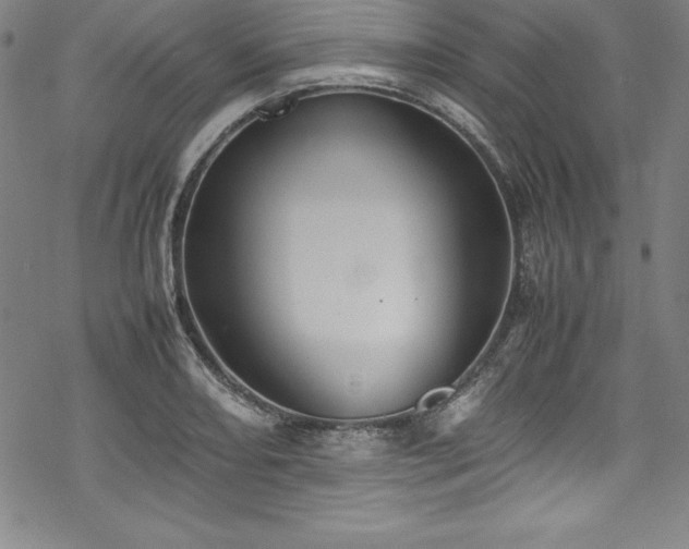 X0000069391082200605121205