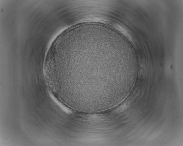 X0000069391084200605121205