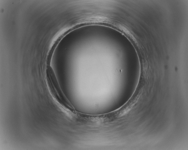 X0000069391085200605121205