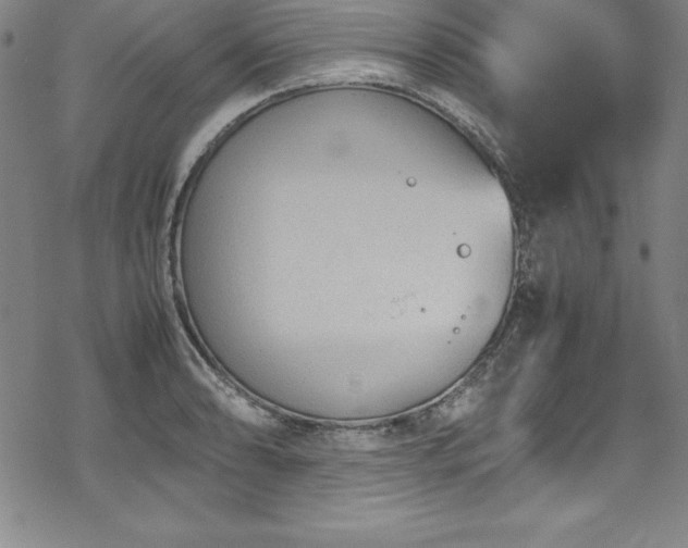 X0000069391086200605121205