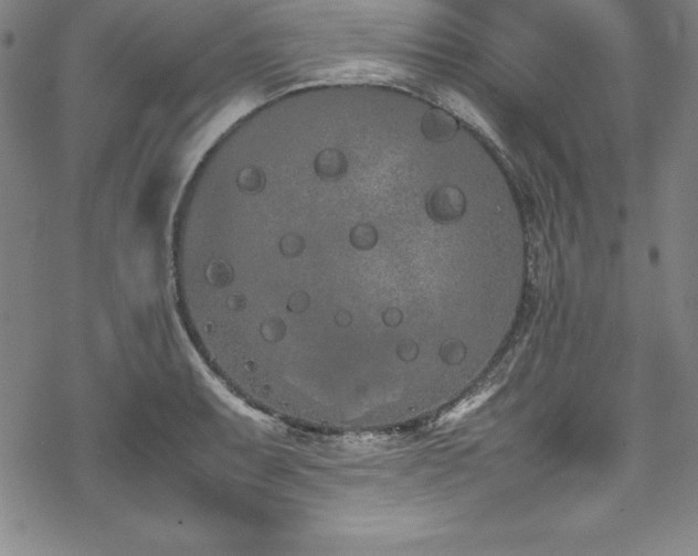 X0000069391087200605121205