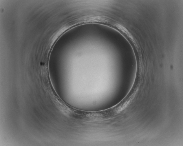 X0000069391089200605121205