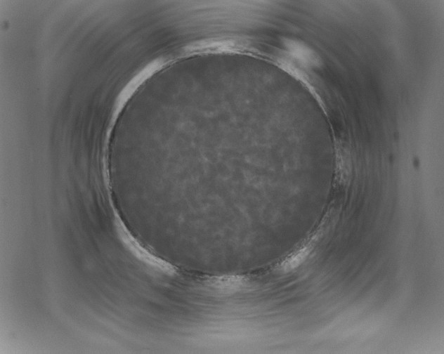 X0000069391090200605121205