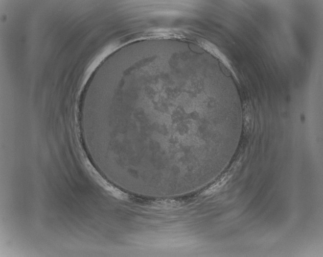 X0000069391091200605121205