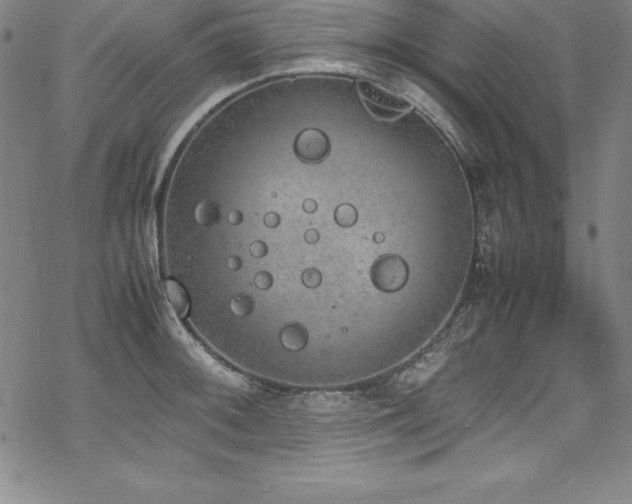 X0000069391092200605121205